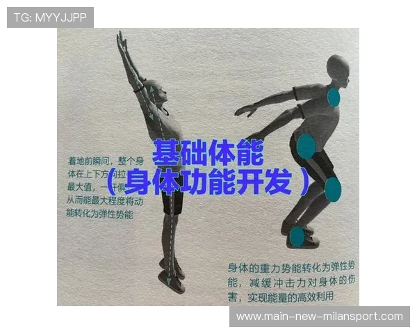世界体能科研基金启动：支持运动表现与恢复研究，世界体能比赛